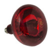 SP1022-BAM-2